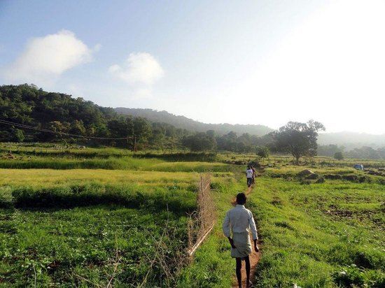 swamimalai hills in yercaud
