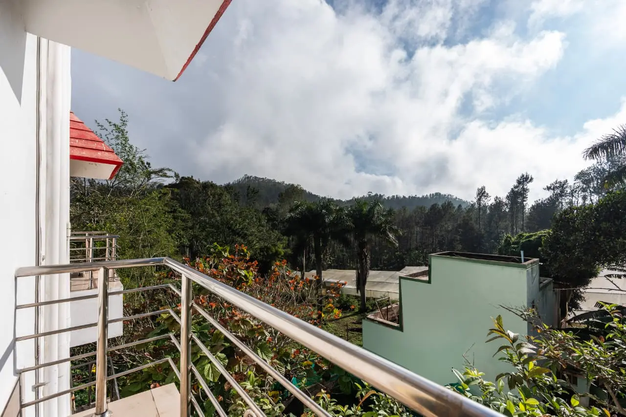 whatsapp image 2026 01 03 at 12.17.07 (2) (1)