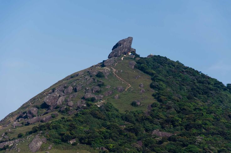 Swamimalai Hill Yelagiri